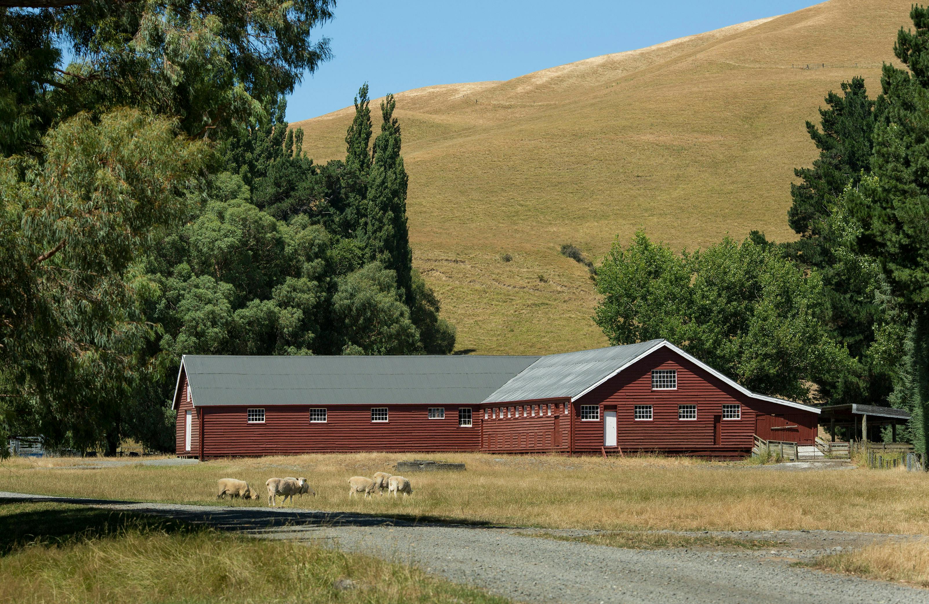 Highfield Woolshed North Canterbury 01