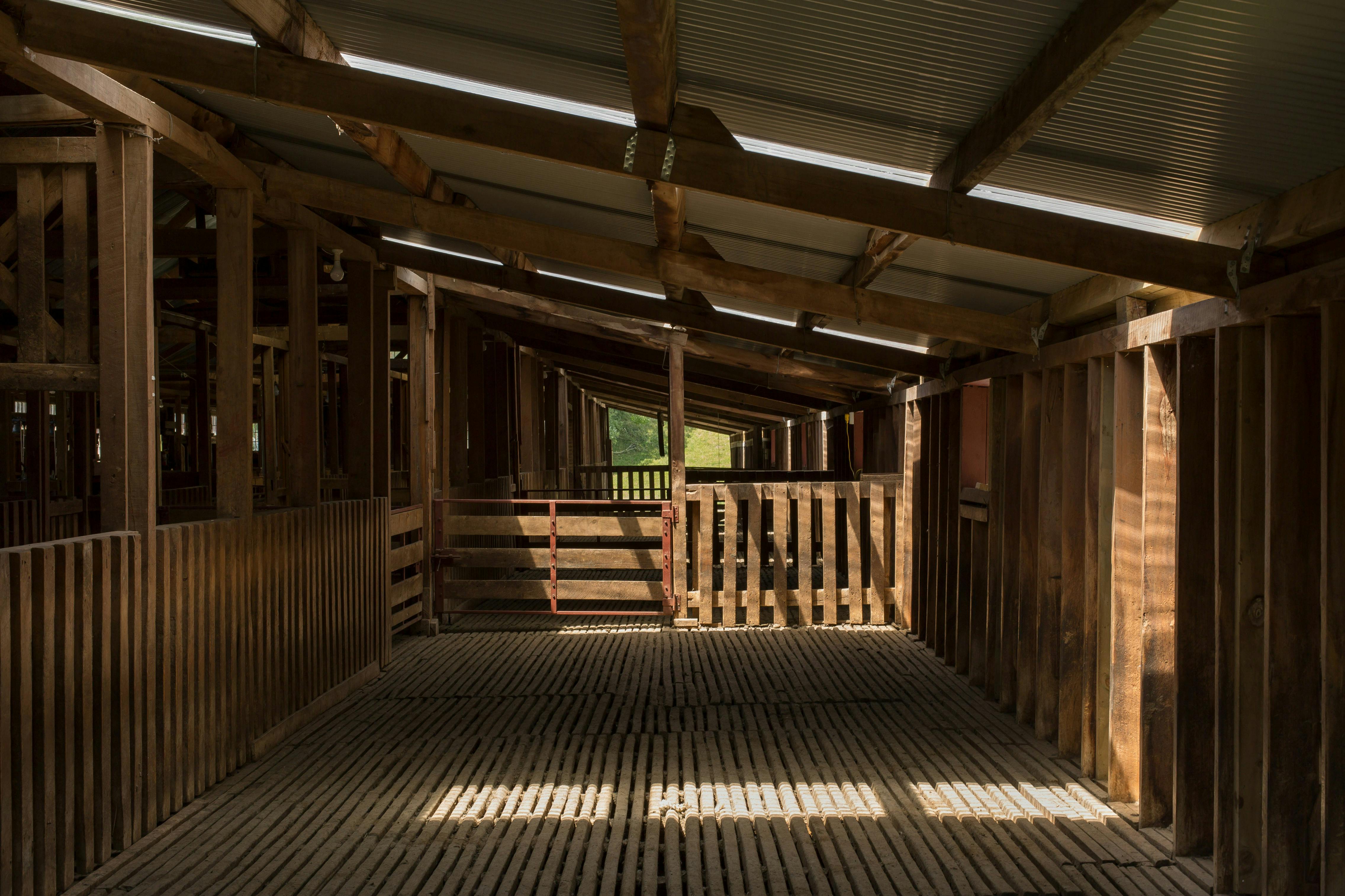 Highfield Woolshed North Canterbury 08