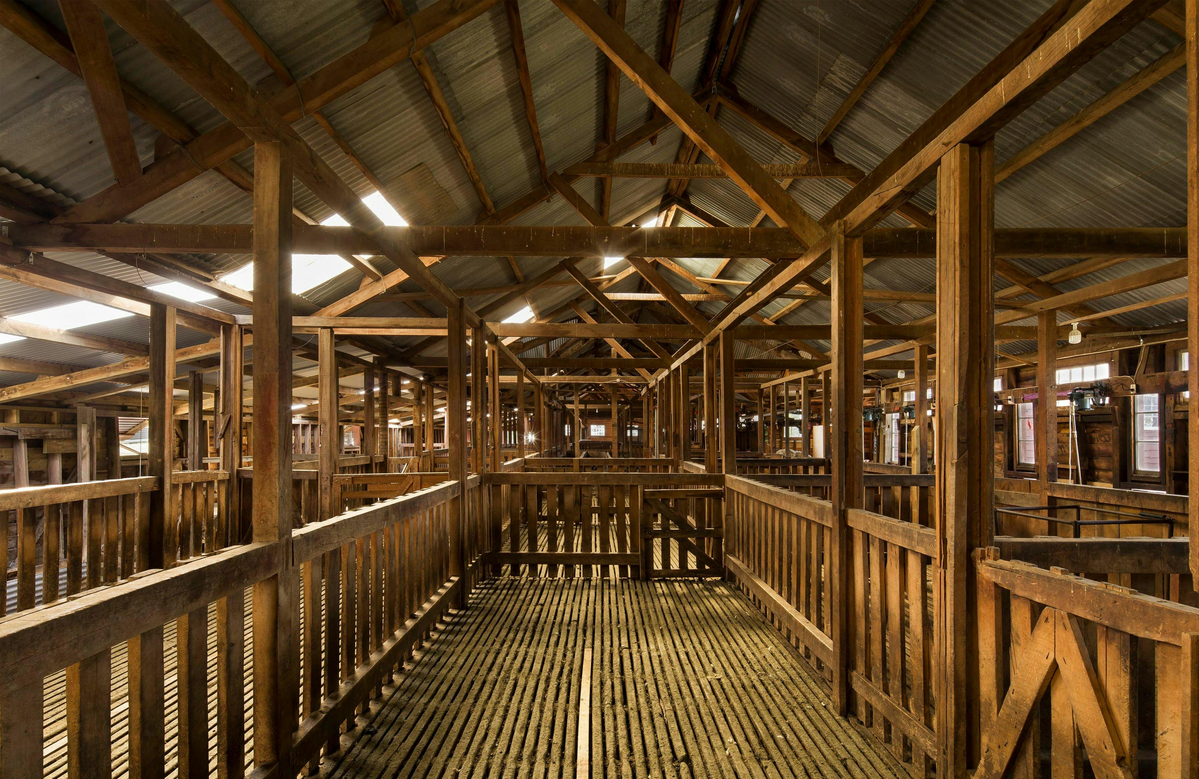Highfield Woolshed North Canterbury 09